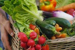 عوارض نخوردن میوه و سبزیجات