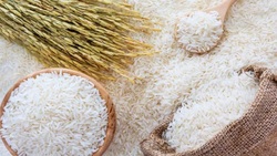 قیمت برنج افزایش پیدا نمی کند