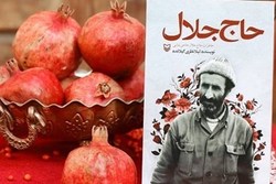 برگزاری پویش عصر مقاومت و پویش سلام ایران