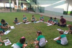 رد پای رژیم صهیونیستی در مدارس برزیل