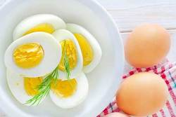 تخم مرغ سازگار ترین غذا با بدن انسان