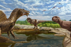 کشف فسیل دایناسور در مصر مربوط به 98 میلیون سال قبل