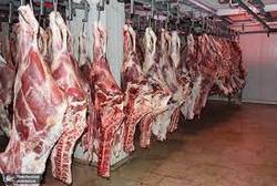 آیا گرانی جو تاثیری بر قیمت گوشت دارد؟