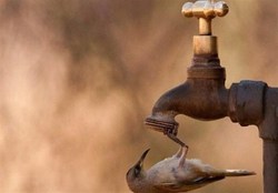 انتقاد از قطعی مکرر آب در باغملک/ مسئولان نسبت به عملکرد خود پاسخگو باشند