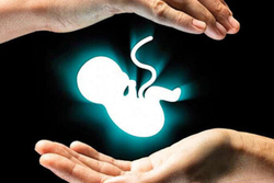 پروانه کار پزشکان خاطی سقط جنین باطل می شود
