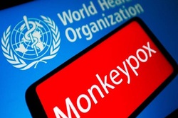 موارد ابتلا به آبله میمون در جهان  ۷۷ درصد افزایش یافته است