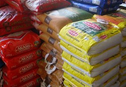 گلایه نماینده مردم قائمشهر از آزادسازی واردات برنج در فصل برداشت این محصول