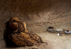 کشف مومیایی مرموز در  مقبره‌ای زیرزمینی در کشور پرو