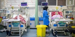 ۸۳ بیمار مبتلا به کووید ۱۹ در کشور جان خود را از دست دادند