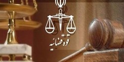 نماینده مردم گرمسار و آرادان در مجلس به دو سال حبس تعزیری محکوم شد