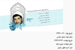 سهم اسماعیل؛ قطعه ای از بهشتِ صحن آزادی