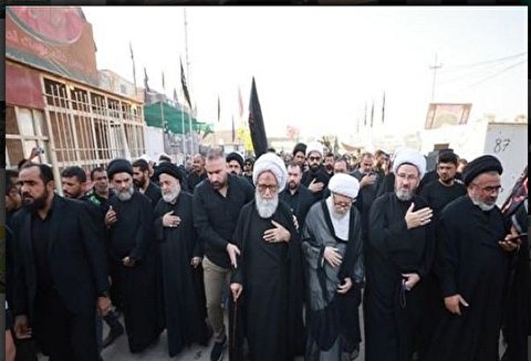 حضور آیت الله بشیر نجفی در پیاده روی اربعین + تصاویر