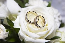 حدود ۱۳ میلیون جوان ایرانی در سن ازدواج مجرد هستند