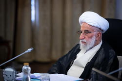 نهادهای امنیتی با جدیت به شناسایی عاملان و آمران حادثه تروریستی شیراز اقدام کنند