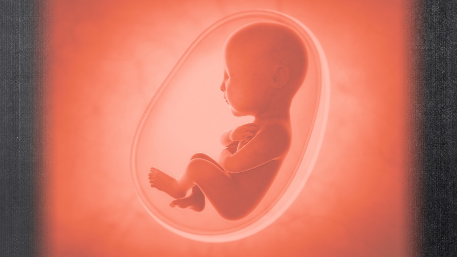 سوالاتی چند درباره سقط جنین و احکام آن