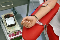 افزایش ۴۰ درصدی اهدای خون در قم