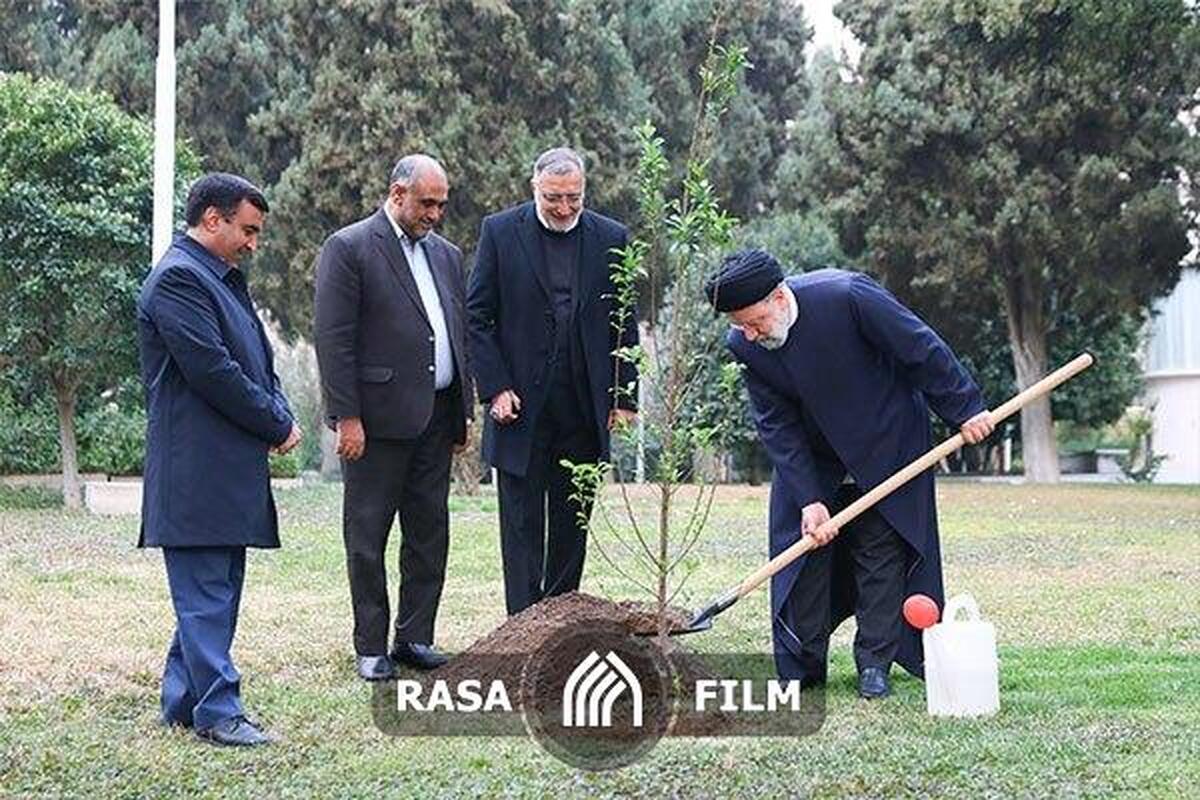 کاشت درخت به دست رئیس‌جمهور در روز درختکاری