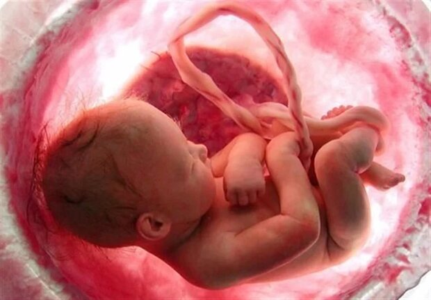 قتل عام نیم میلیون جنین توسط والدین و پزشکان در کشور!