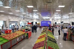 تناقض گرانی میوه در کشور با‌ جایگاه برتر ایران در تولید محصولات باغی