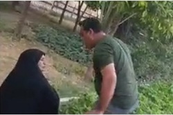 از حمله به زینب موسوی تا کشیدن چادر از سر زنان