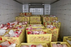 قیمت مرغ در سراشیبی