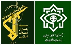 ضربه سازمان اطلاعات سپاه و وزارت اطلاعات به شبکه سازماندهی اغتشاشات