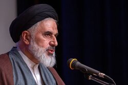 علامه حسن زاده آملی از حکمای زبردست در به کارگیری توأمان شهود و بحث بود