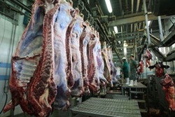 کاهش قیمت‌ در بازار گوشت در گرو مدیریت واردات