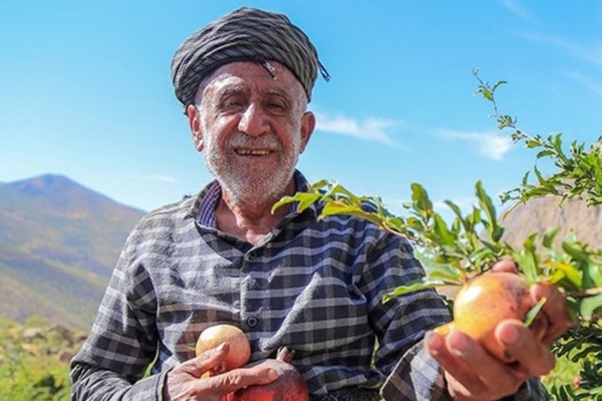 با خوردن این میوه افسرده نمی شوید