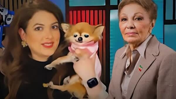 افشین علاء فرح را به خاطر تسلیت مرگ سگ مجری ضدایرانی مسخره کرد
