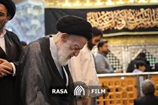 تشرف آیه الله شبیری به حرم حضرت معصومه