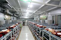 ساعت خدمت‌رسانی زائرسرای حرم بانوی کرامت در زمستان افزایش یافت