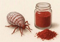 استفاده از رنگ قرمز تهیه‌شده از پوست حشرات در محصولات غذایی
