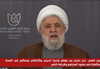 فتنه خلع سلاح مقاومت در نطفه خفه شد