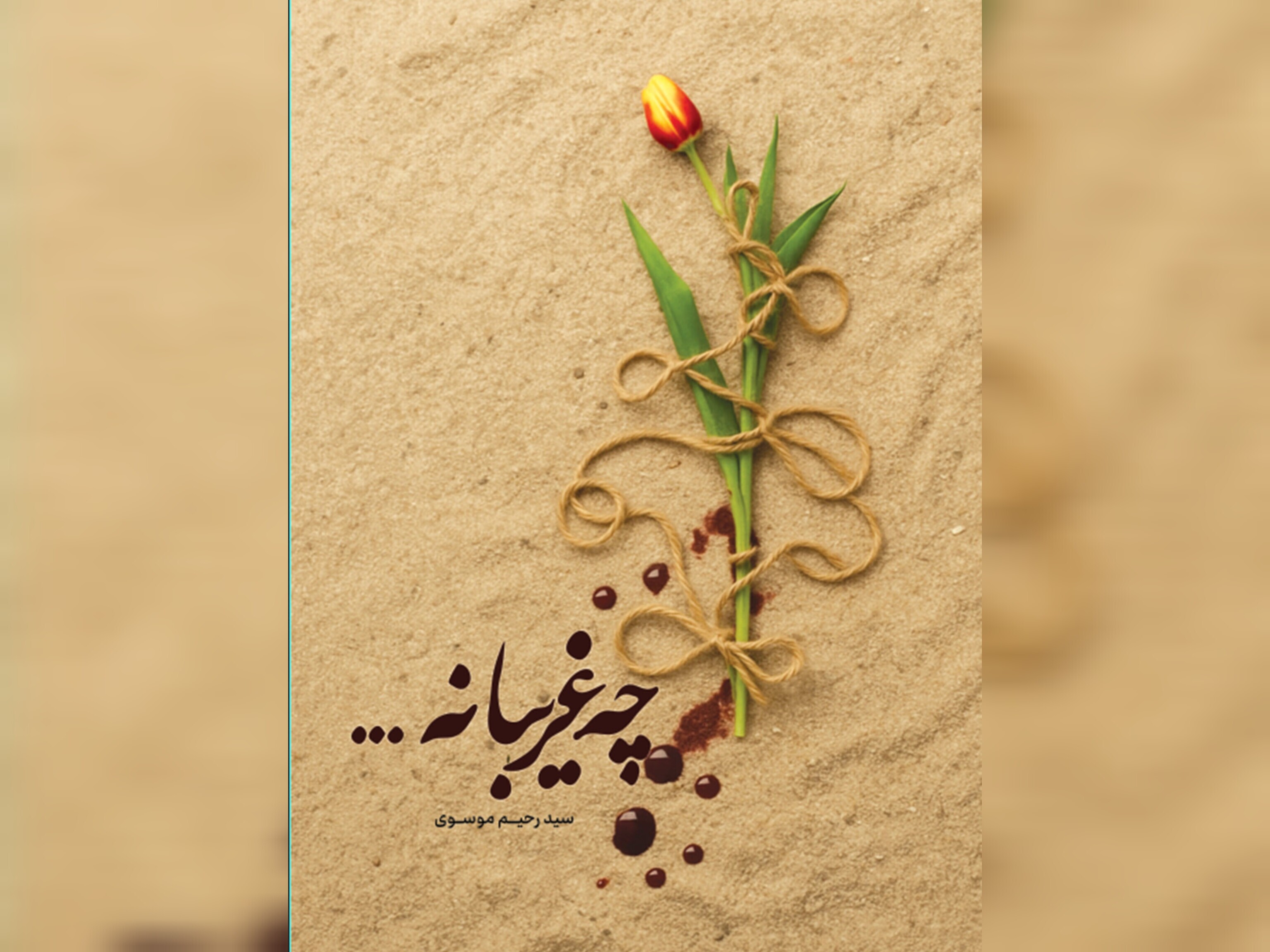 کتاب «چه غریبانه» در شهرکرد رونمایی شد