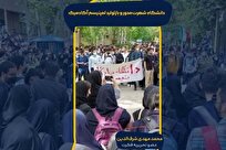 دانشگاهِ شهرت‌محور و بازتولید لمپنیسم آکادمیک!