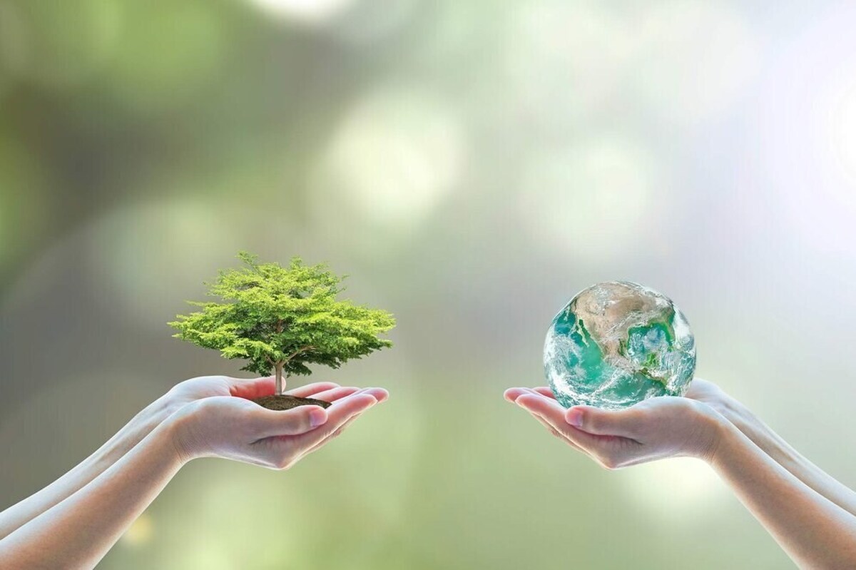 وزارت آب و محیط زیست؛ تضعیف سازمان یا ارتقای حفاظت؟