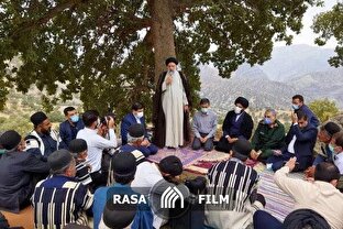 شهید خدمت | درخت بلوط