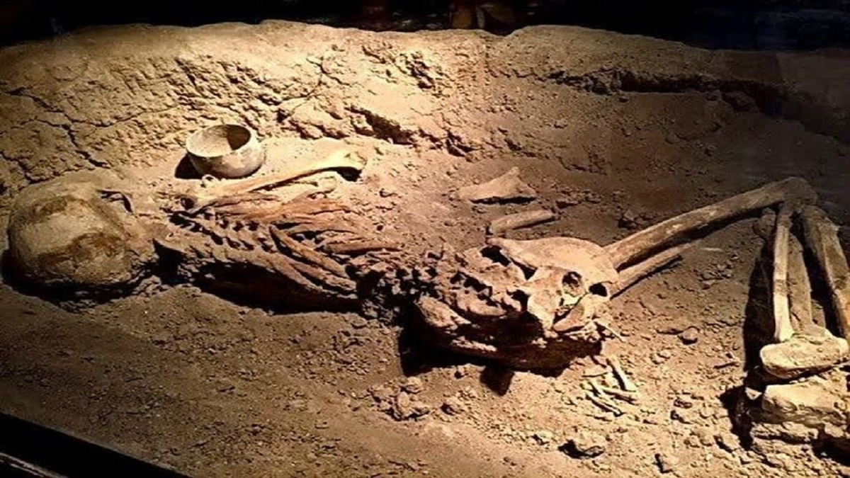 اسکلت زن باردار با قدمت چهار هزار سال در موزه سمنان