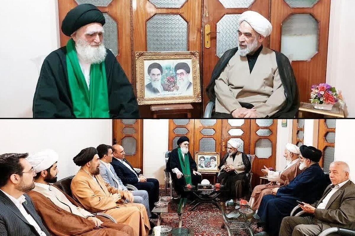 دیدار معاون ارتباطات و امور بین الملل دفتر مقام معظم رهبری با آیت الله محمودی گلپایگانی