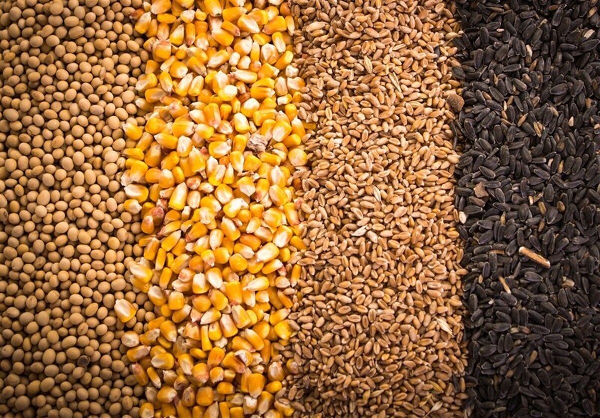 واردات نهاده ۲۰درصد ارزانتر، از ادعا تا واقعیت