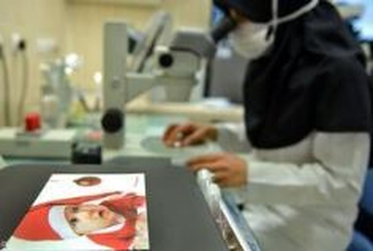آخرین خبر از پرونده جنجالی گم شدن جنین‌ها