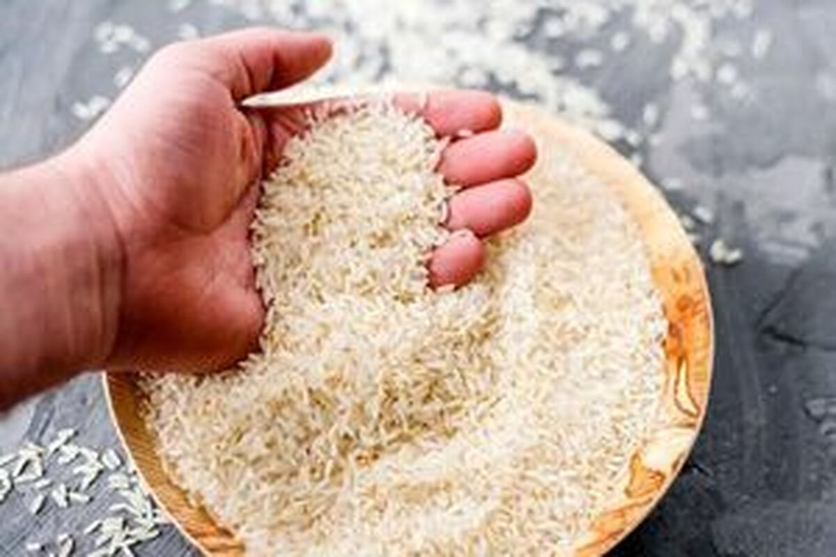 قیمت برنج ایرانی در حال کاهش