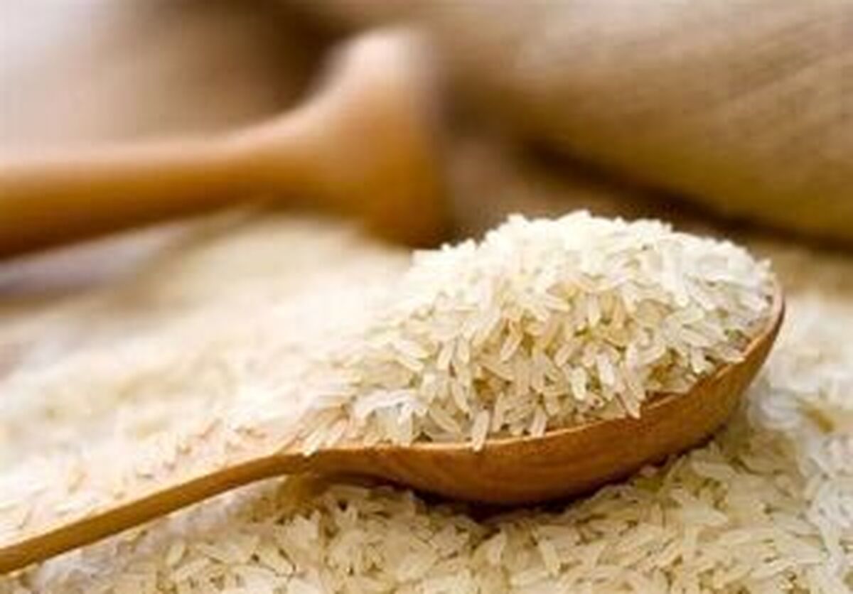 توزیع ۱۵۰ هزار تن برنج‌ هندی و پاکستانی در بازار