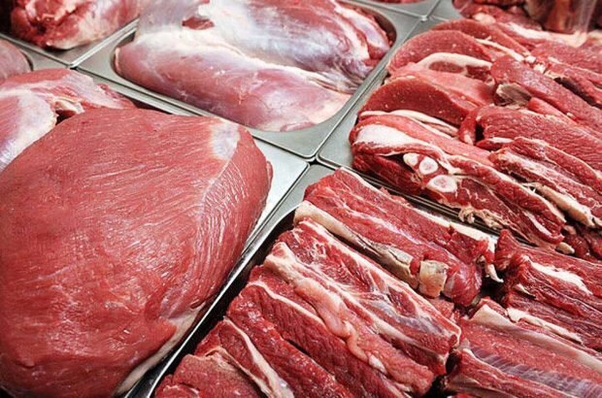 توزیع روزانه ۲۰۰ تن گوشت‌ وارداتی در بازار
