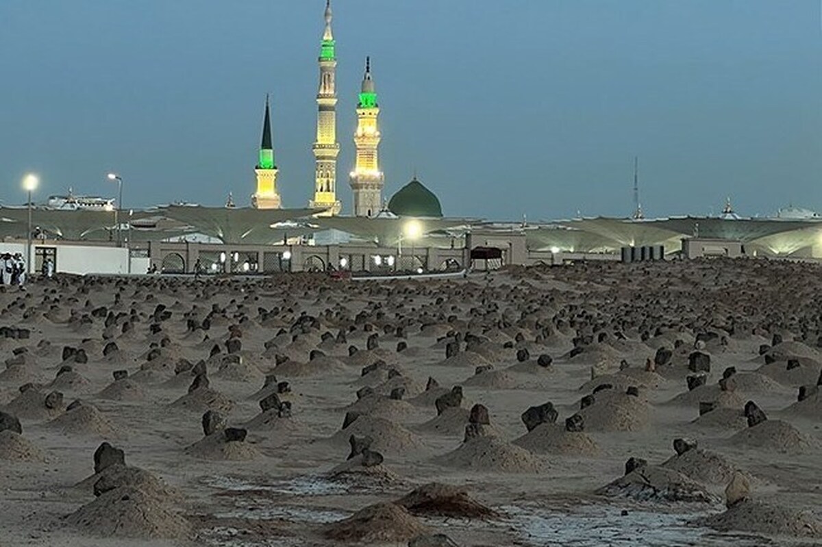 عروة الوثقی و نخل کثیر الثمر