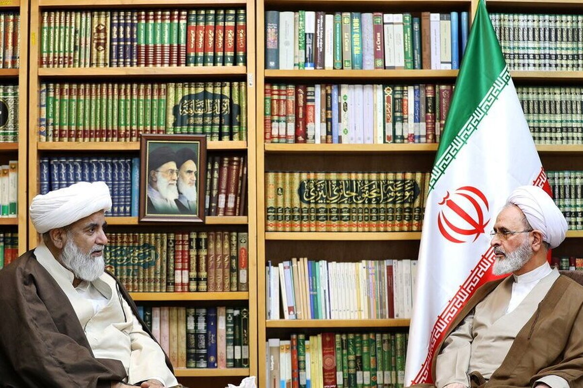 پاکستان جایگاه راهبردی در معادلات اسلامی دارد/ موضع پاکستان در قبال مقاومت قابل قبول بوده است