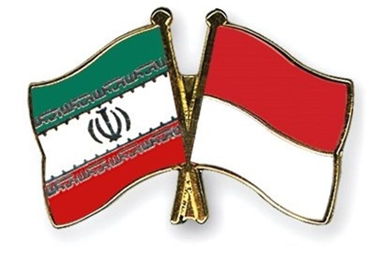 ایران و اندونزی؛ رایزنی برای هموار کردن مسیر خروج از لیست سیاه FATF