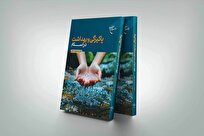 کتاب «پاکیزگی و بهداشت در اسلام» به چاپ چهارم رسید + لینک خرید