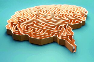 کاسب‌سازی یا عقلانیت فرهنگی؟ نقدی بر یک دوگانه‌سازی خطرناک